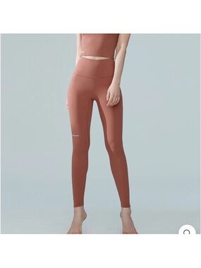 $65 Xexymix Black Label Signature 380N Leggings Ash Brick XXS/XS